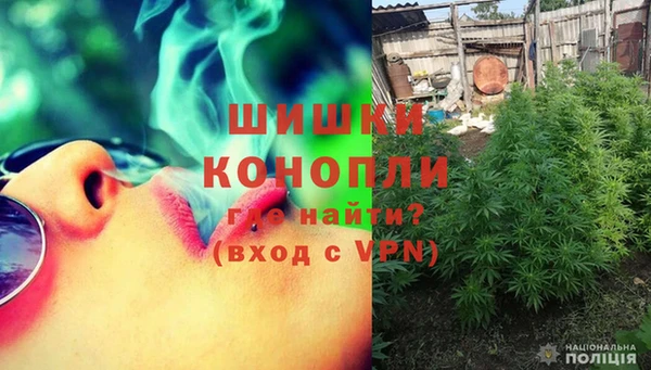 стафф Билибино