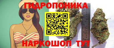 амф Волжск