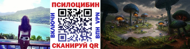 Псилоцибиновые грибы мицелий  Куйбышев 