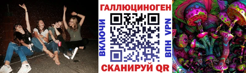 Галлюциногенные грибы Psilocybine cubensis Куйбышев