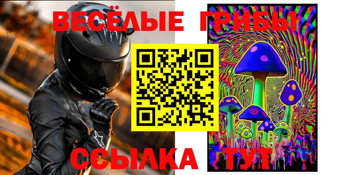 Куйбышев  Галлюциногенные грибы Magic Shrooms  Вход с VPN 