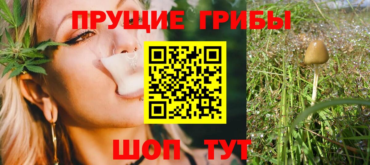 Галлюциногенные грибы GOLDEN TEACHER Куйбышев